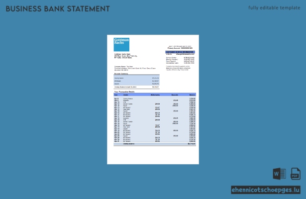 Beispiel eines Kontoauszugs der Goldman Sachs Bankorganisation (Word- und PDF-Datei)